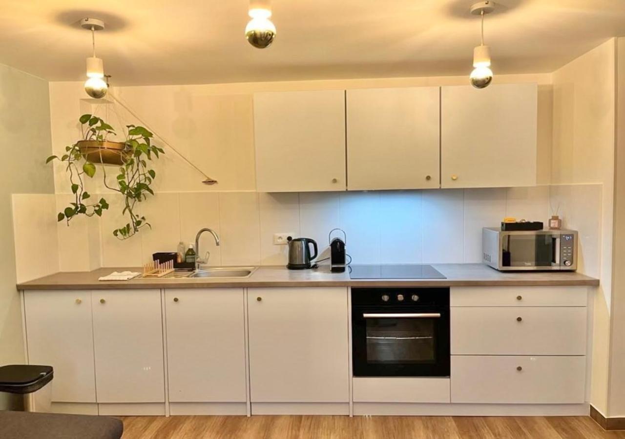 Appartement 2P Strasbourg Centre Екстер'єр фото